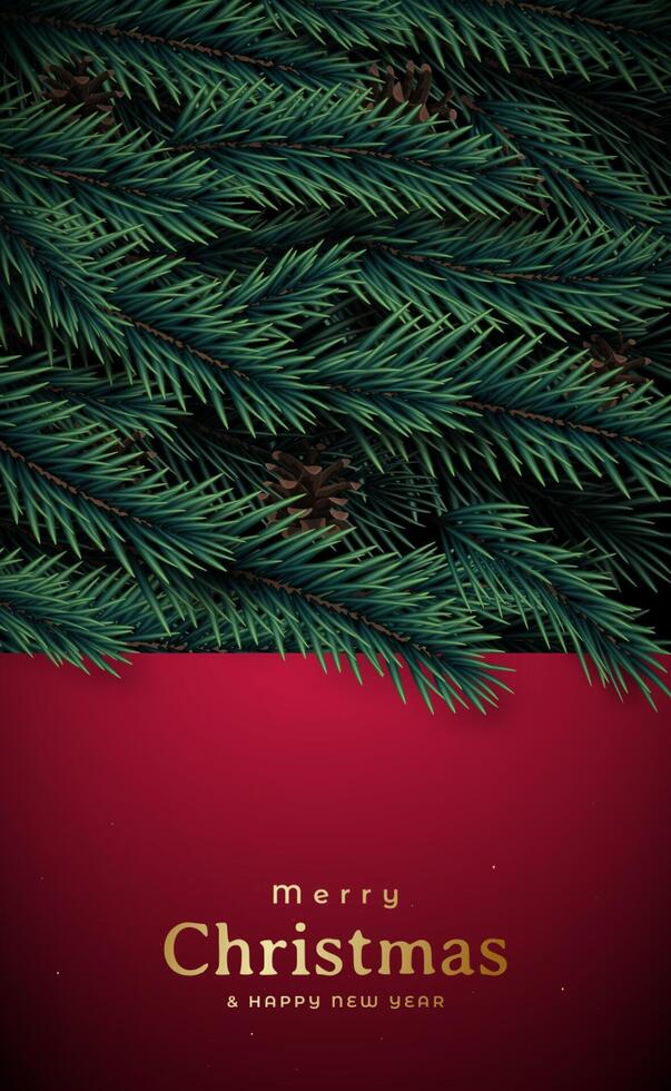 with Pine Branches Background. vector