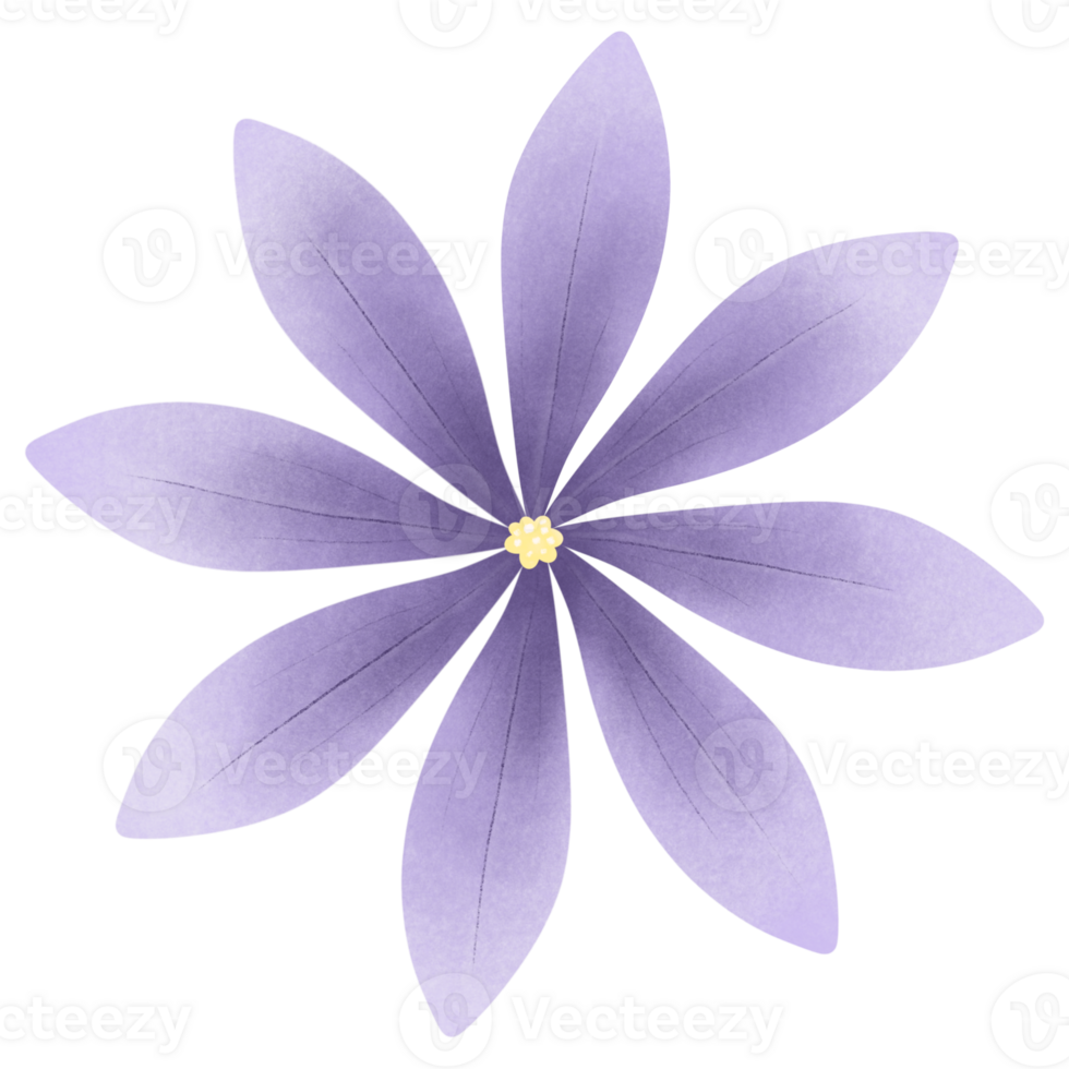 hand draw flower in flat design purple flower with green leaves png