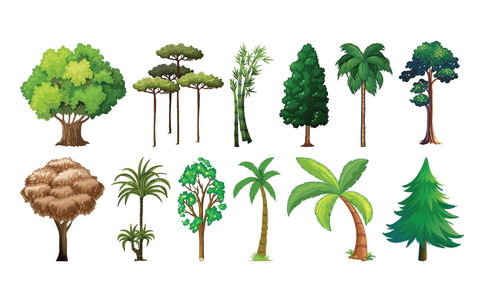 Various types of trees and plants vector
