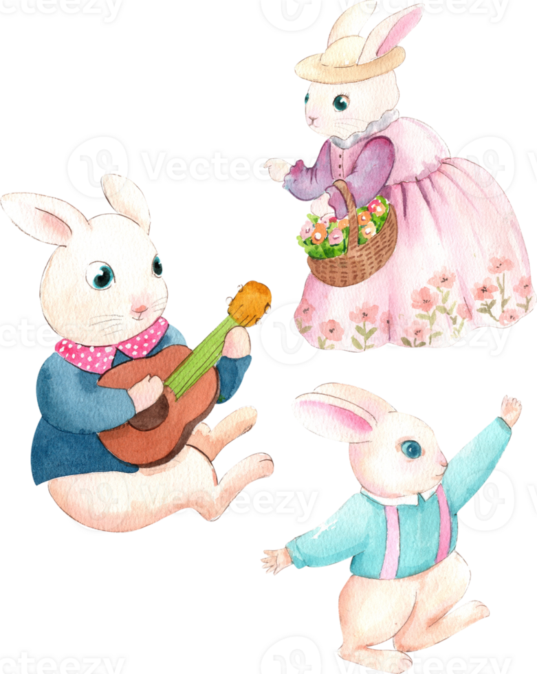 The father rabbit plays the ukulele and makes the baby rabbits dance, while the mother rabbit picks flowers and puts them in a basket., hand-drawn watercolor painting illustration png