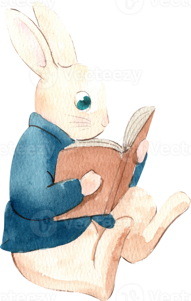 A rabbit in a suit reading a book, hand-drawn watercolor painting illustration png