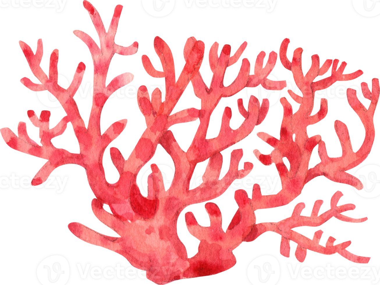 Red Branch Coral, Watercolor Hand-drawn Illustration png