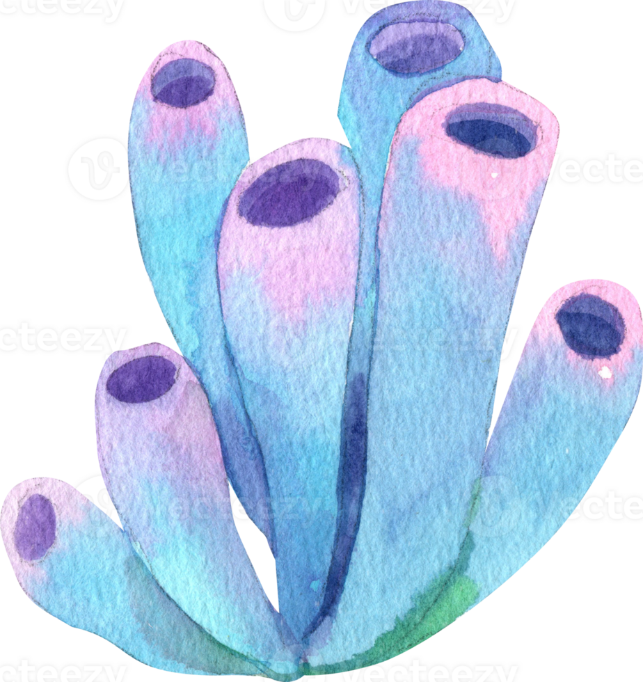 Blue-purple tube Sponge, Watercolor Hand-drawn Illustration png