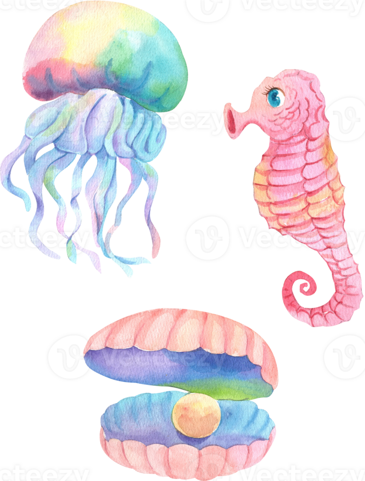 Marine animals include a jellyfish, seashell with a pearl and a seahorse, Watercolor Hand-drawn Illustration png