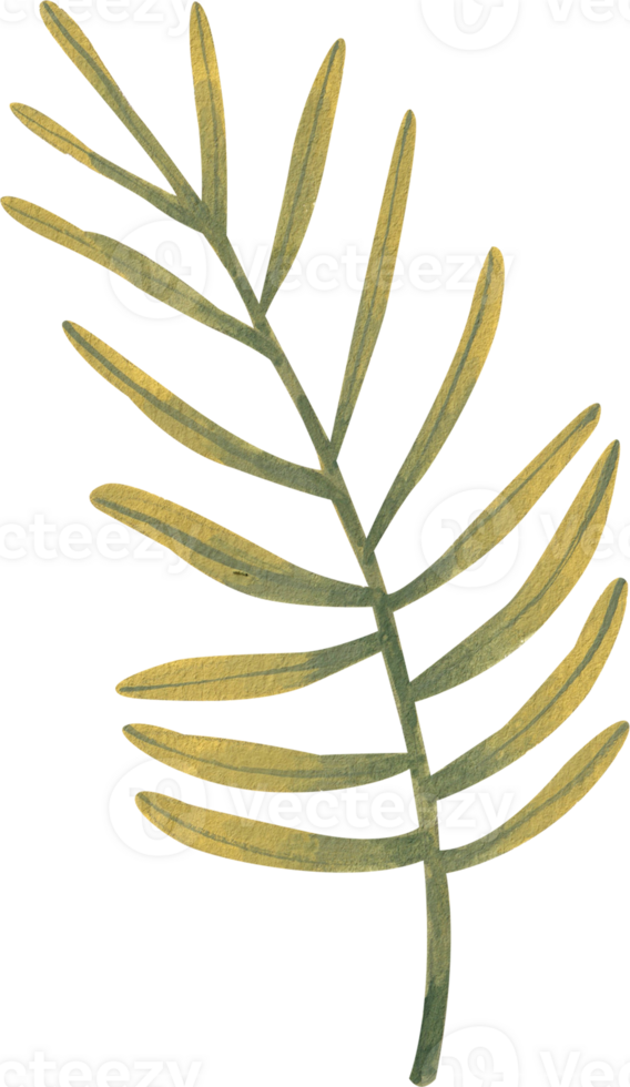 Green leaf branch, hand-drawn watercolor painting illustration png