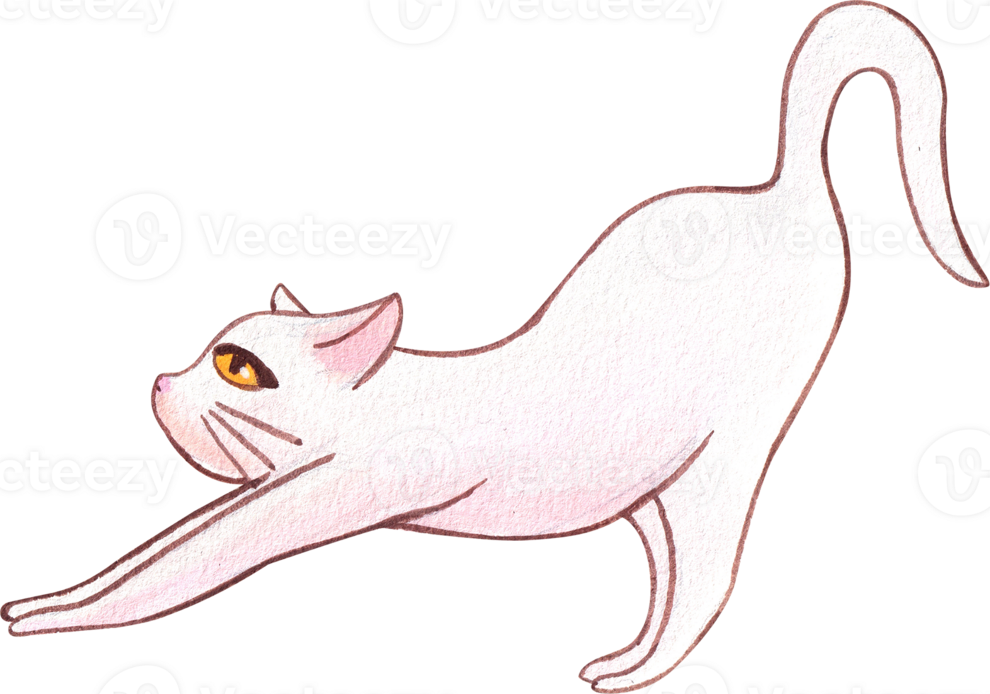 cute cat a white cat is stretching its hips, hand-drawn watercolor painting illustration png