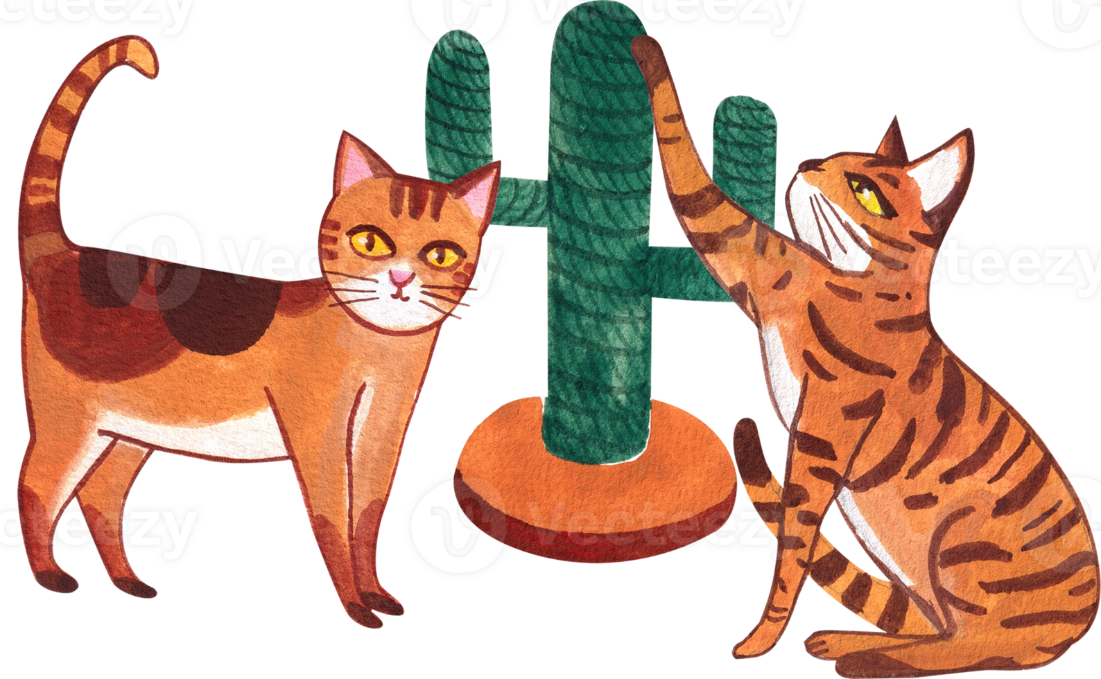 Two brown cats are playing on a cactus scratching post., hand-drawn watercolor painting illustration png