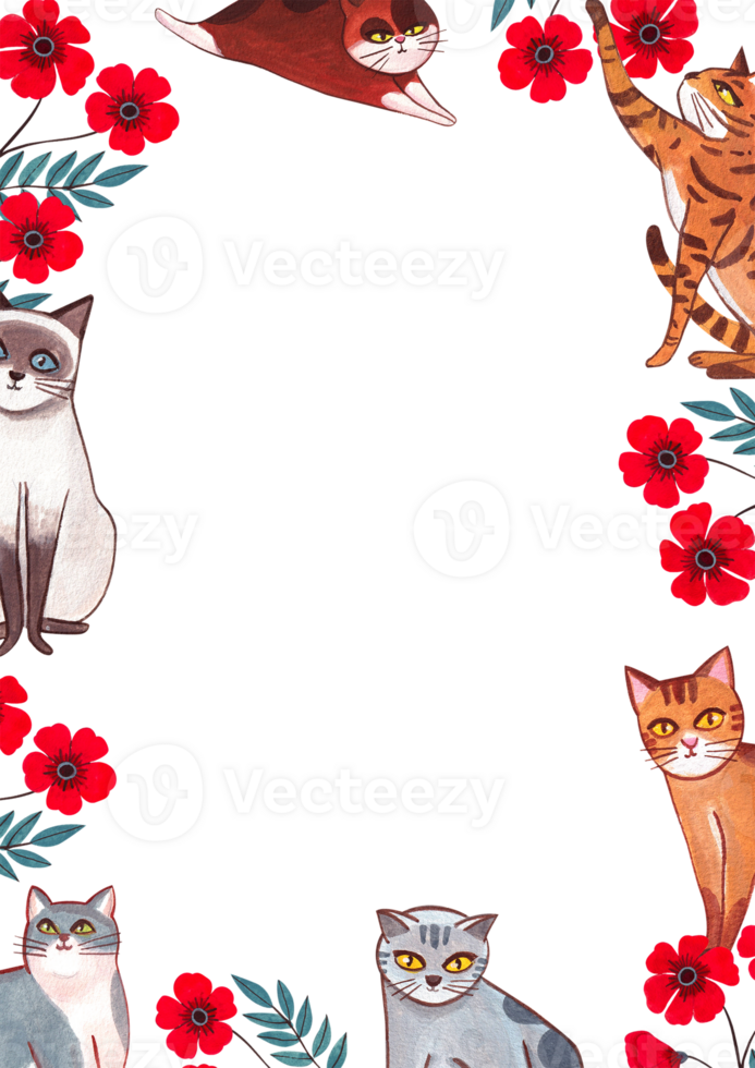An orange, grey, brown, and white cat sits and enjoys the crawling of a red flower., hand-drawn watercolor frame design png