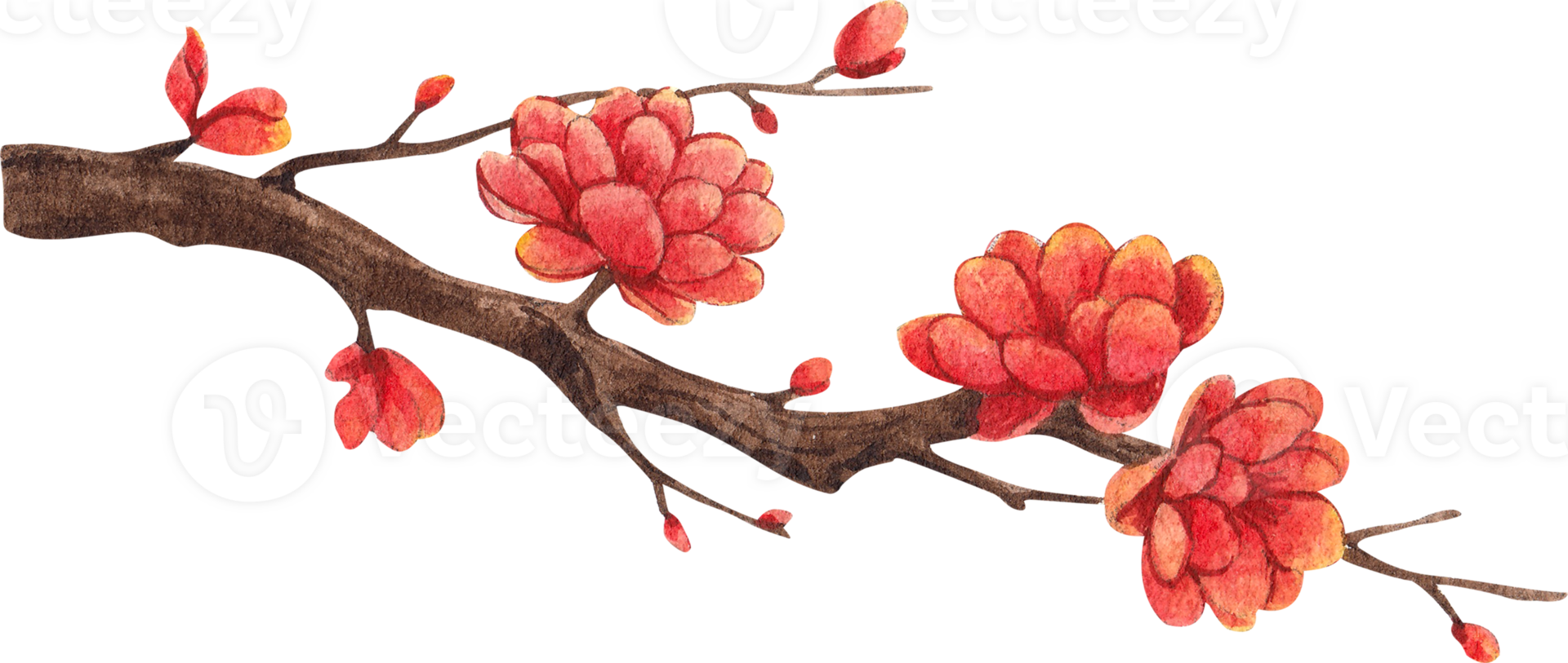 Chinese cultere and decor watercolor hand drawn png