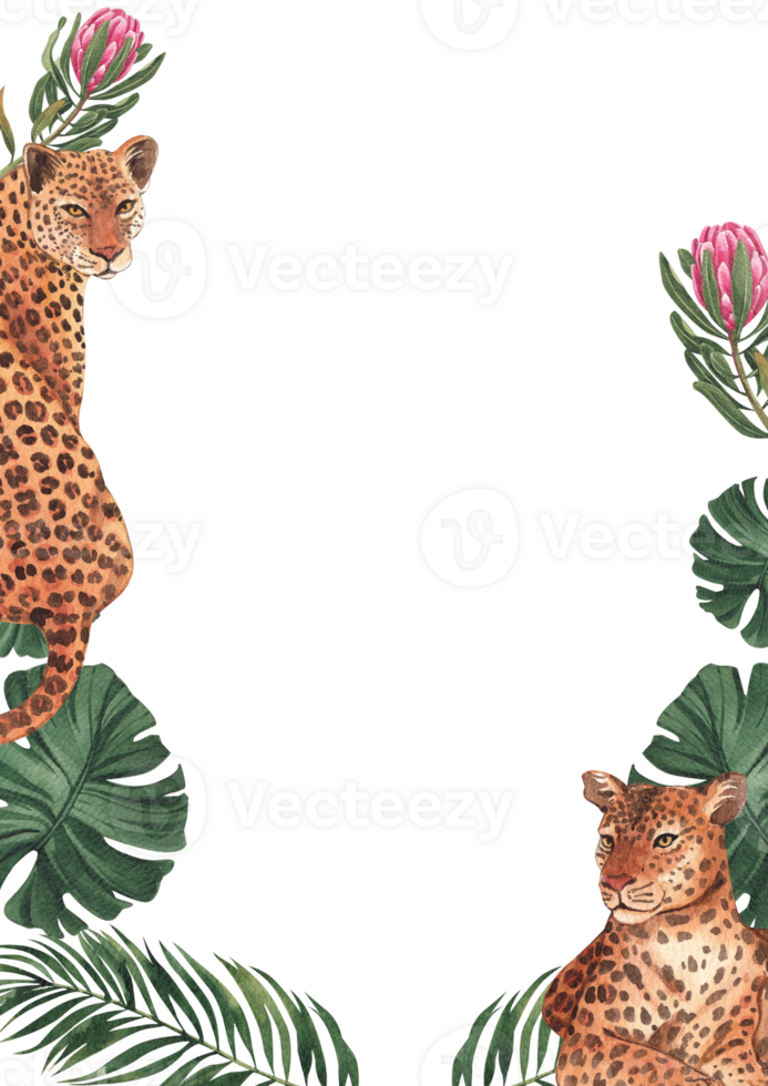 Frame of Leopard wildlife watercolor hand drawn png
