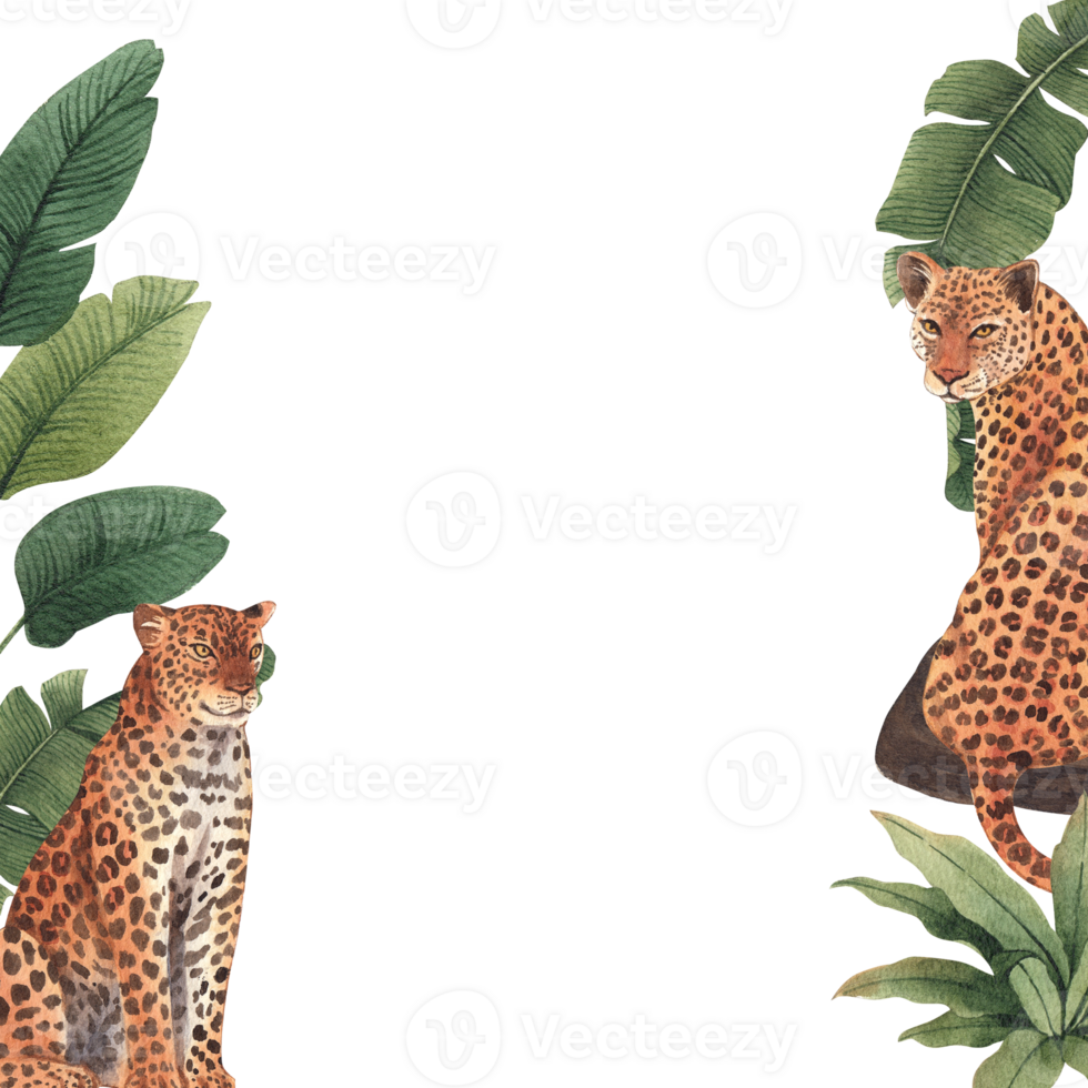 Frame of Leopard wildlife watercolor hand drawn png