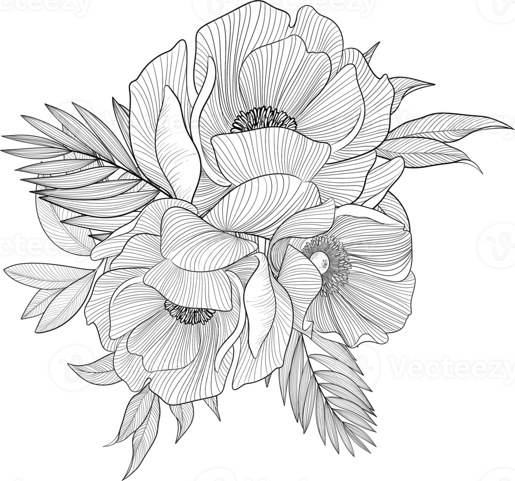 Digital painting illustration of a Bobbie flower bouquet in line art style png