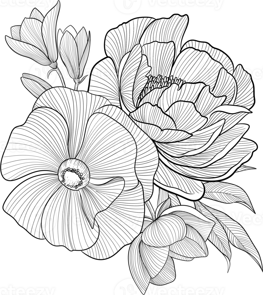 Digital painting illustration of a Bobbie flower bouquet in line art style png