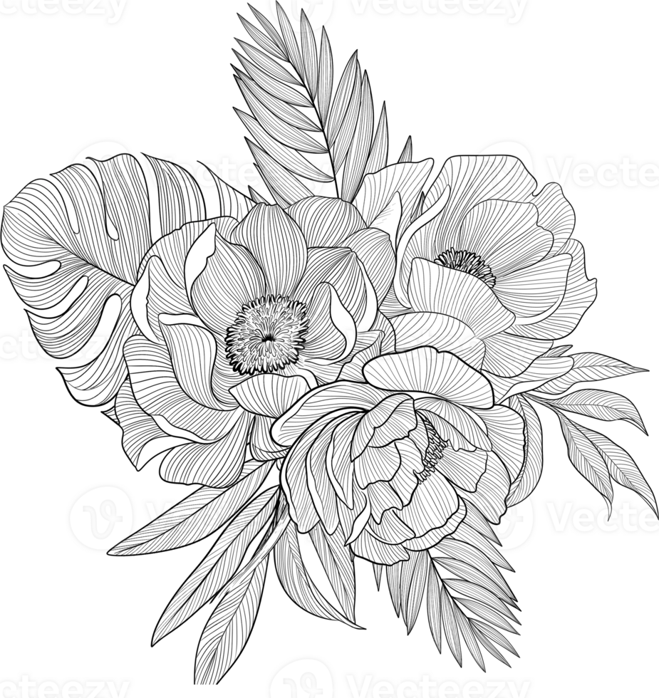 Digital painting illustration of a Bobbie flower bouquet in line art style png