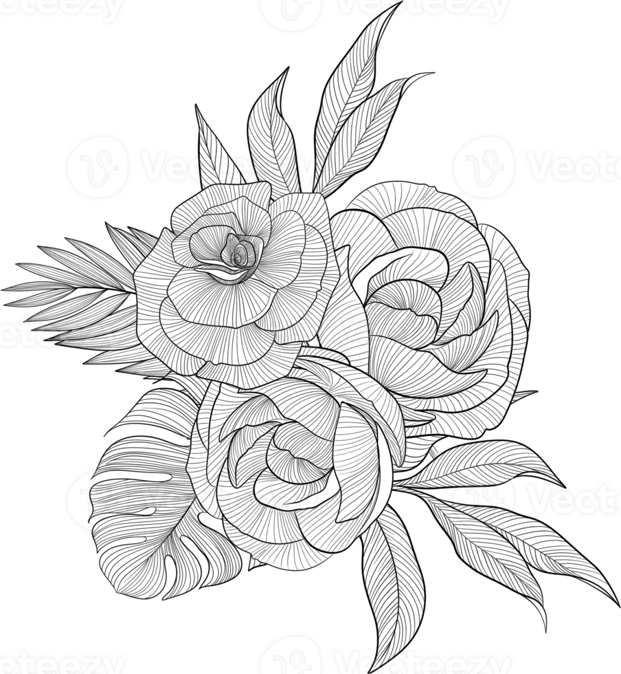 Digital painting illustration of a bouquet of Bobbie flowers and roses in line art style png