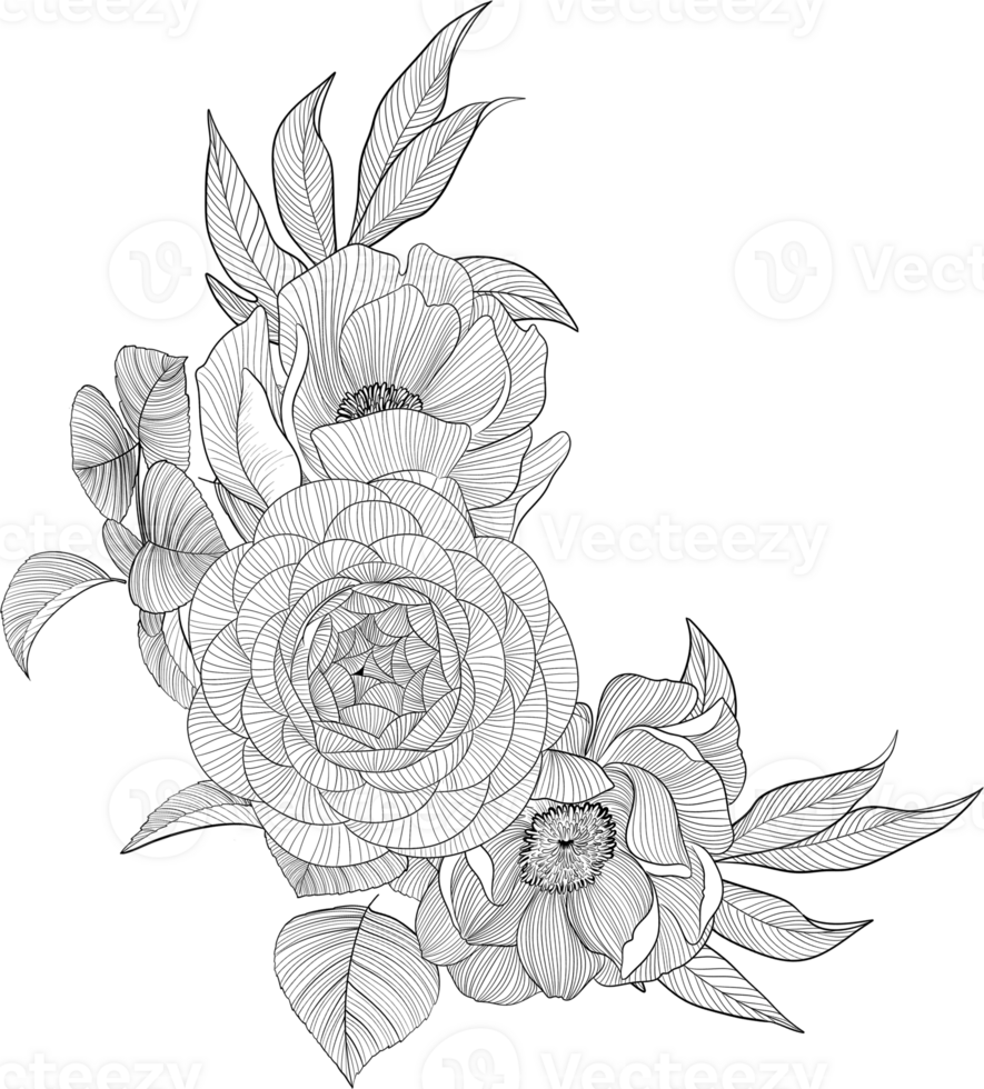 Digital painting illustration of a bouquet of Bobbie flowers and roses in line art style png
