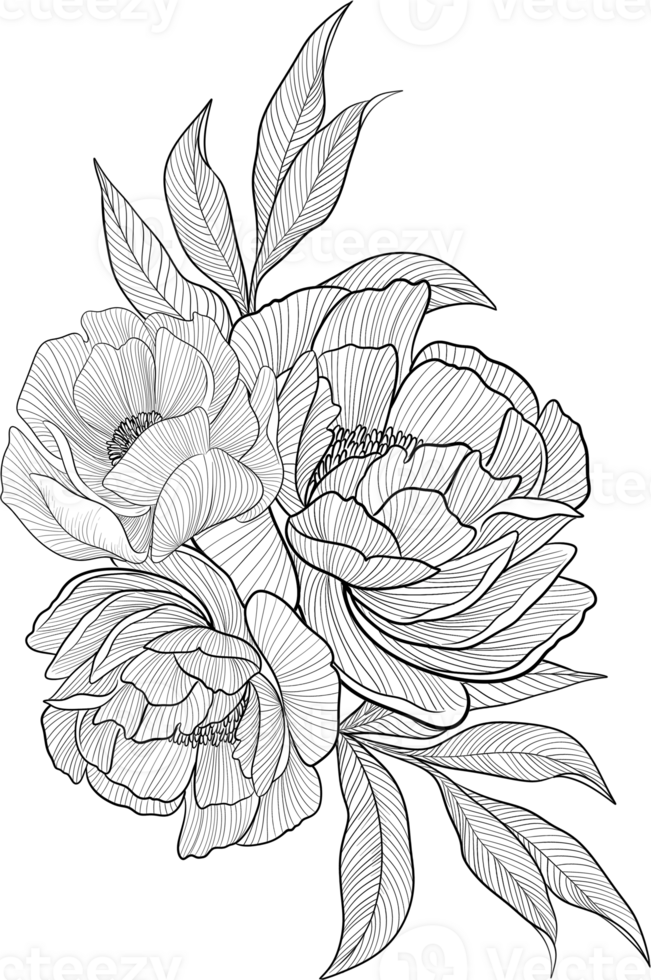 Digital painting illustration of a Bobbie flower bouquet in line art style png
