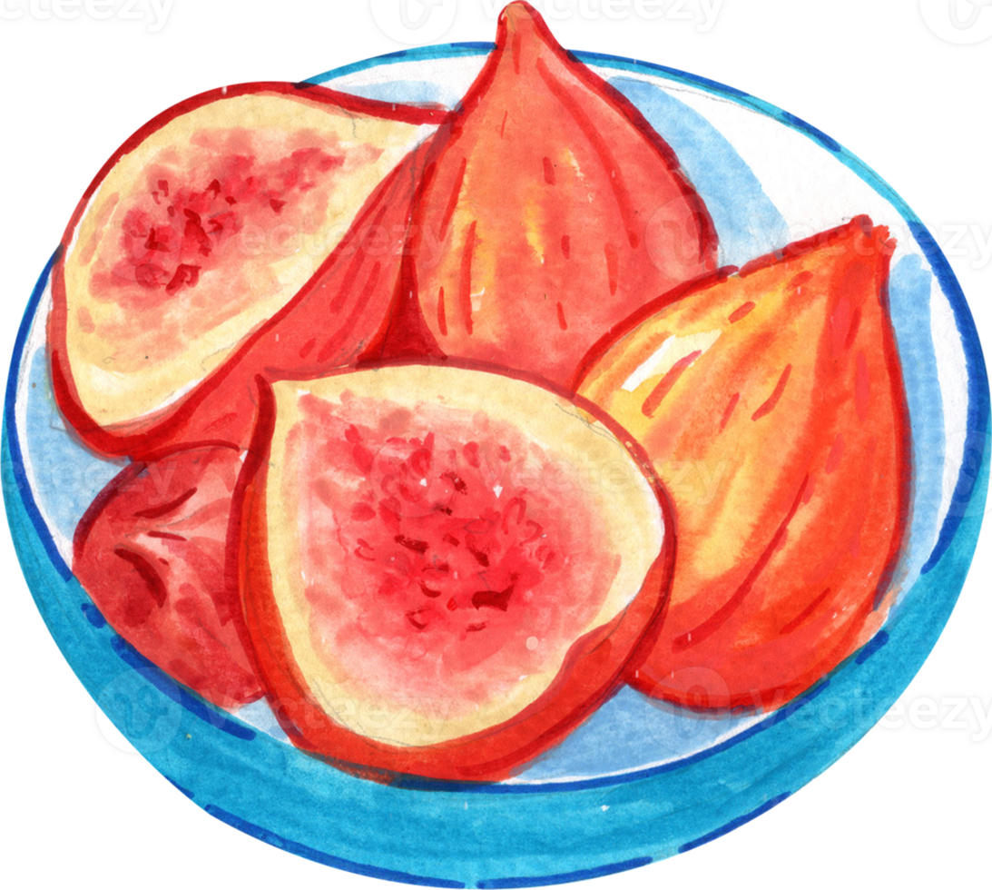 Fig on a plate, watercolor painting hand-drawn illustration png