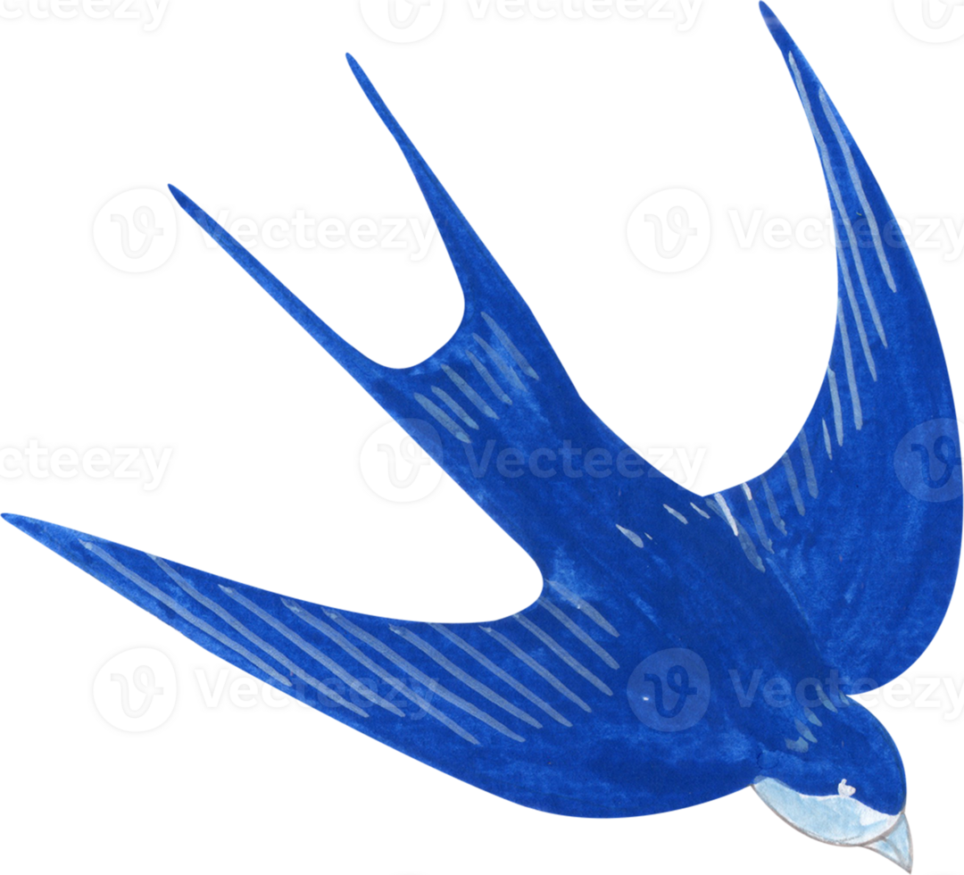 Blue swallow flying, watercolor painting hand-drawn illustration png
