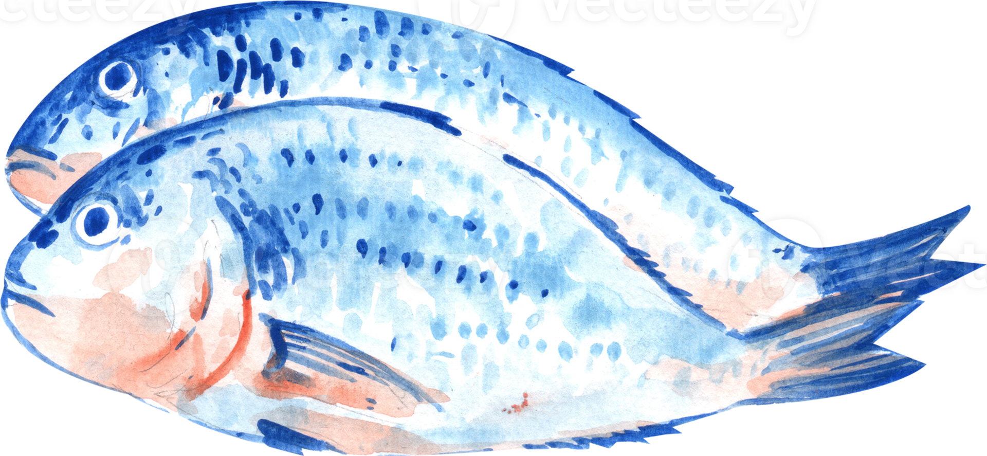 Two blue fish stacked neatly, arranged for serving, hand-drawn watercolor painting illustration png