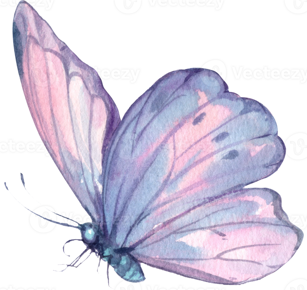 Pastel blue butterfly, watercolor painting hand-drawn illustration png