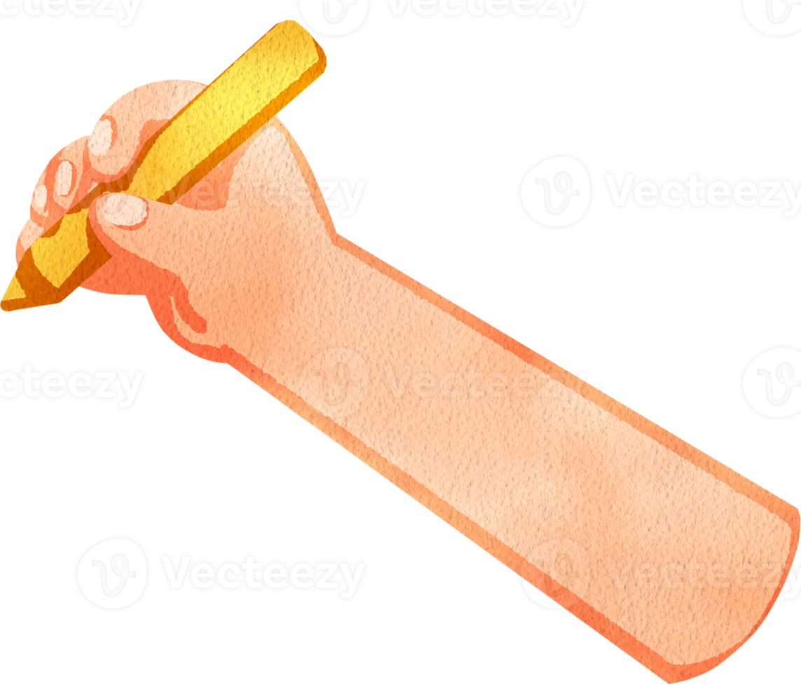 Hand holding a yellow colored pencil, hand-drawn watercolor digital painting illustration png