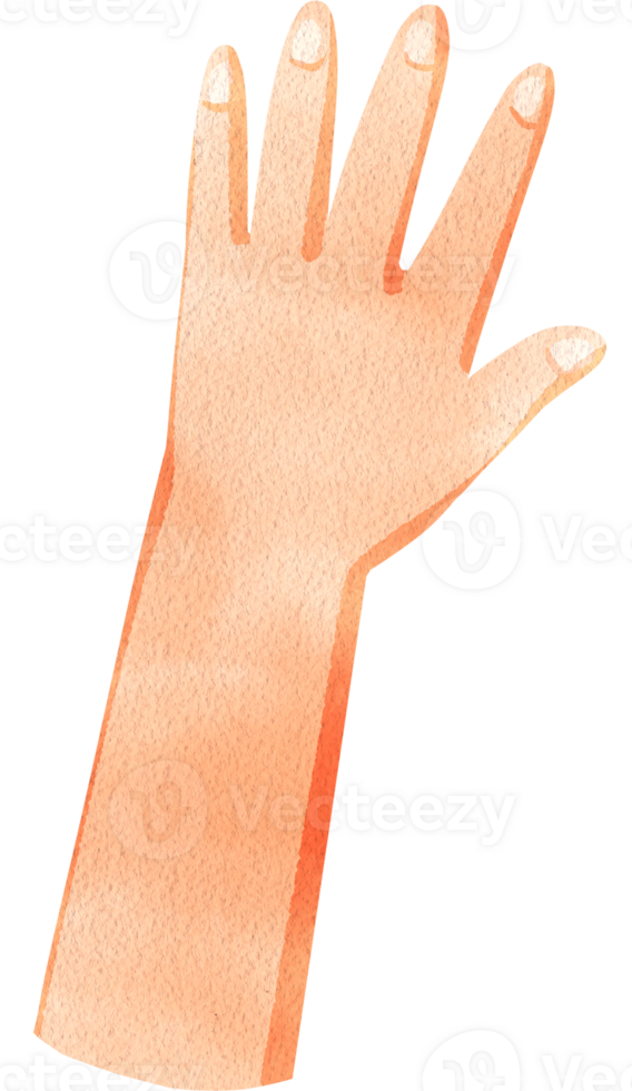 Hand facing down, hand-drawn watercolor digital painting illustration png