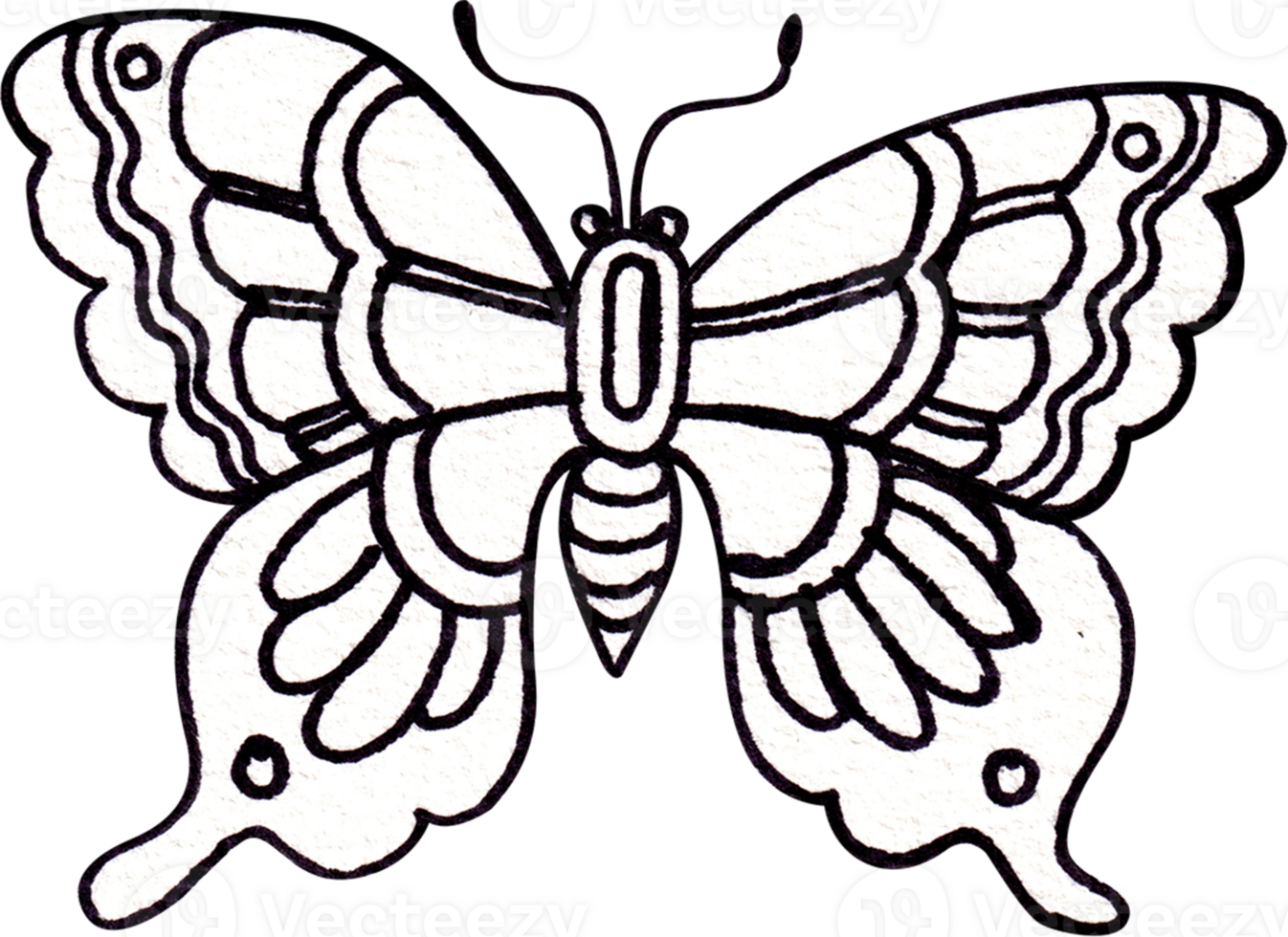 A butterfly spreading its wings with beautiful patterns, viewed from above, Line art, hand-drawn watercolor illustration png