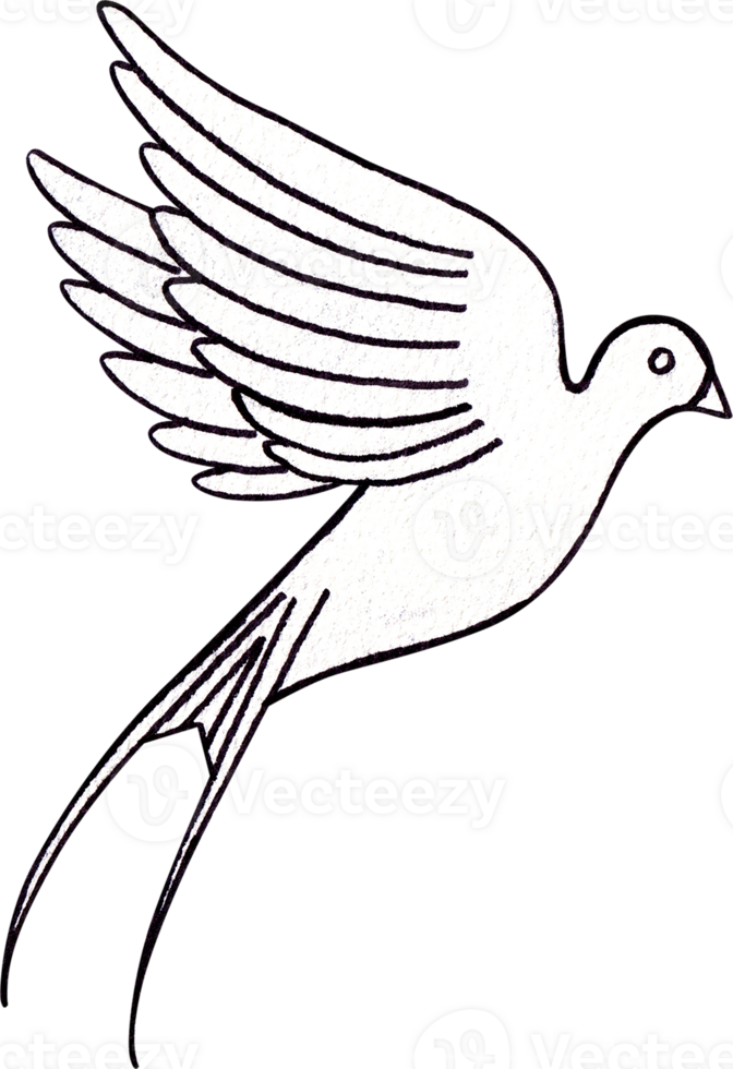 A small bird spreads its wings and flies gracefully, Line art, hand-drawn watercolor illustration png