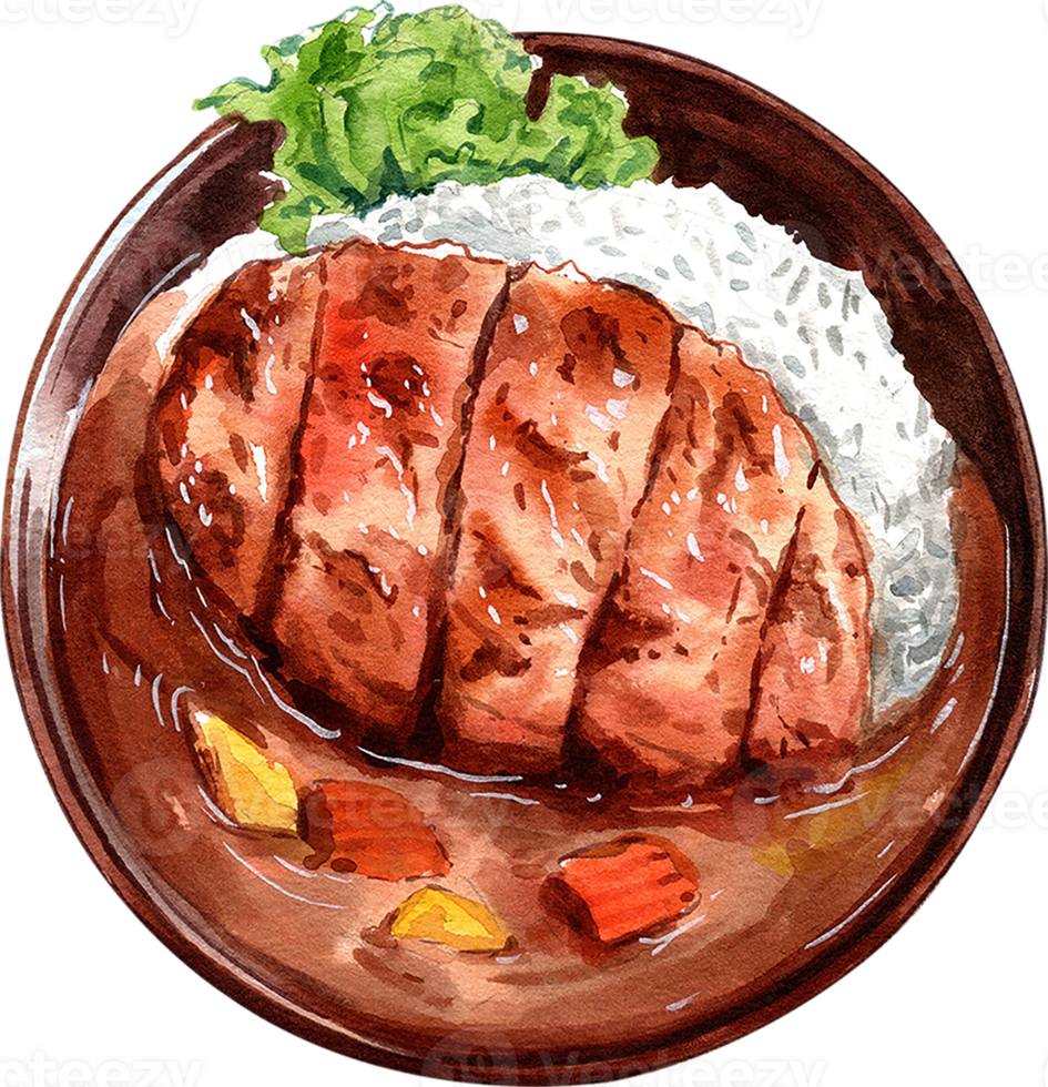 Pork Tonkatsu with japanese curry with rice have potato and carrot, hand-drawn watercolor painting illustration png