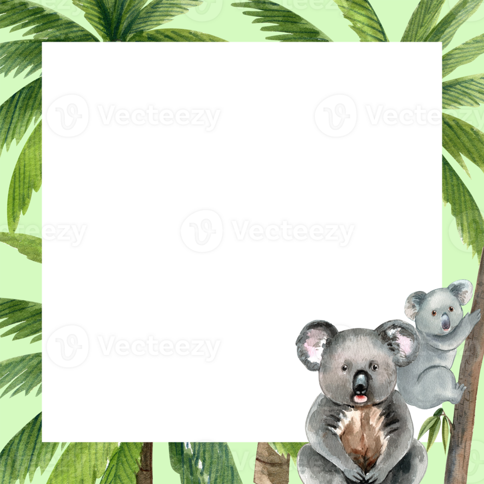 A koala is a mammal that feeds on eucalyptus leaves, hand-drawn watercolor painting frame design png