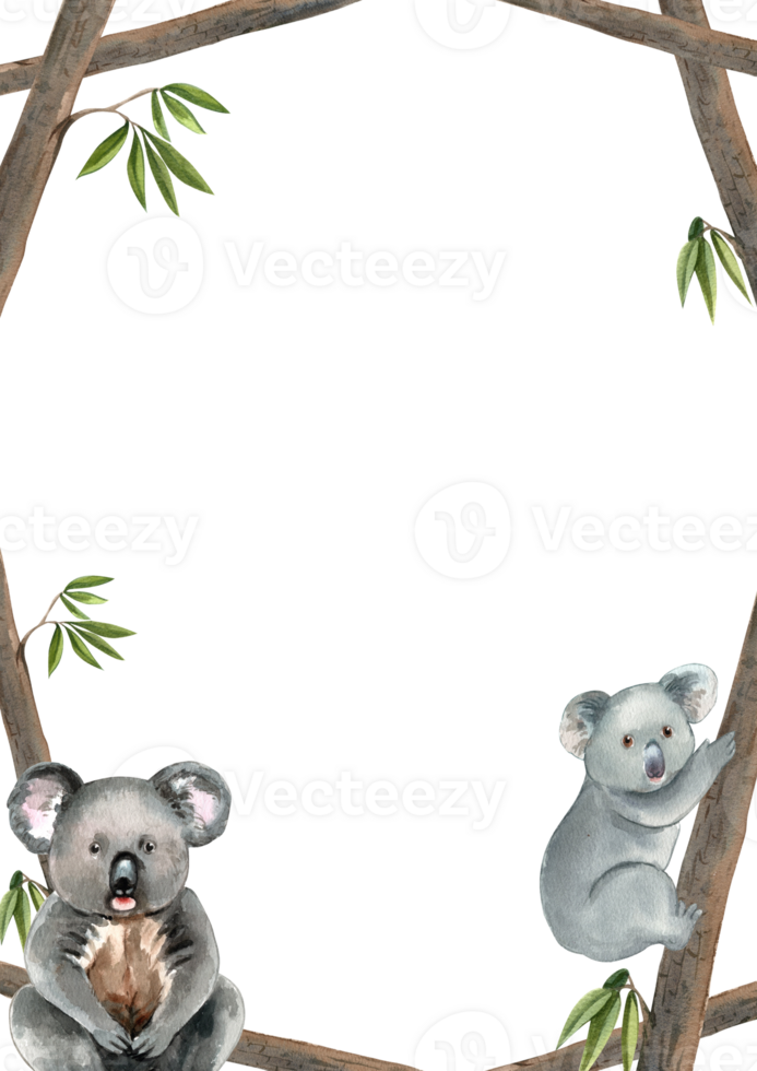 Koalas eat eucalyptus leaves as their primary food, hand-drawn watercolor painting frame design png