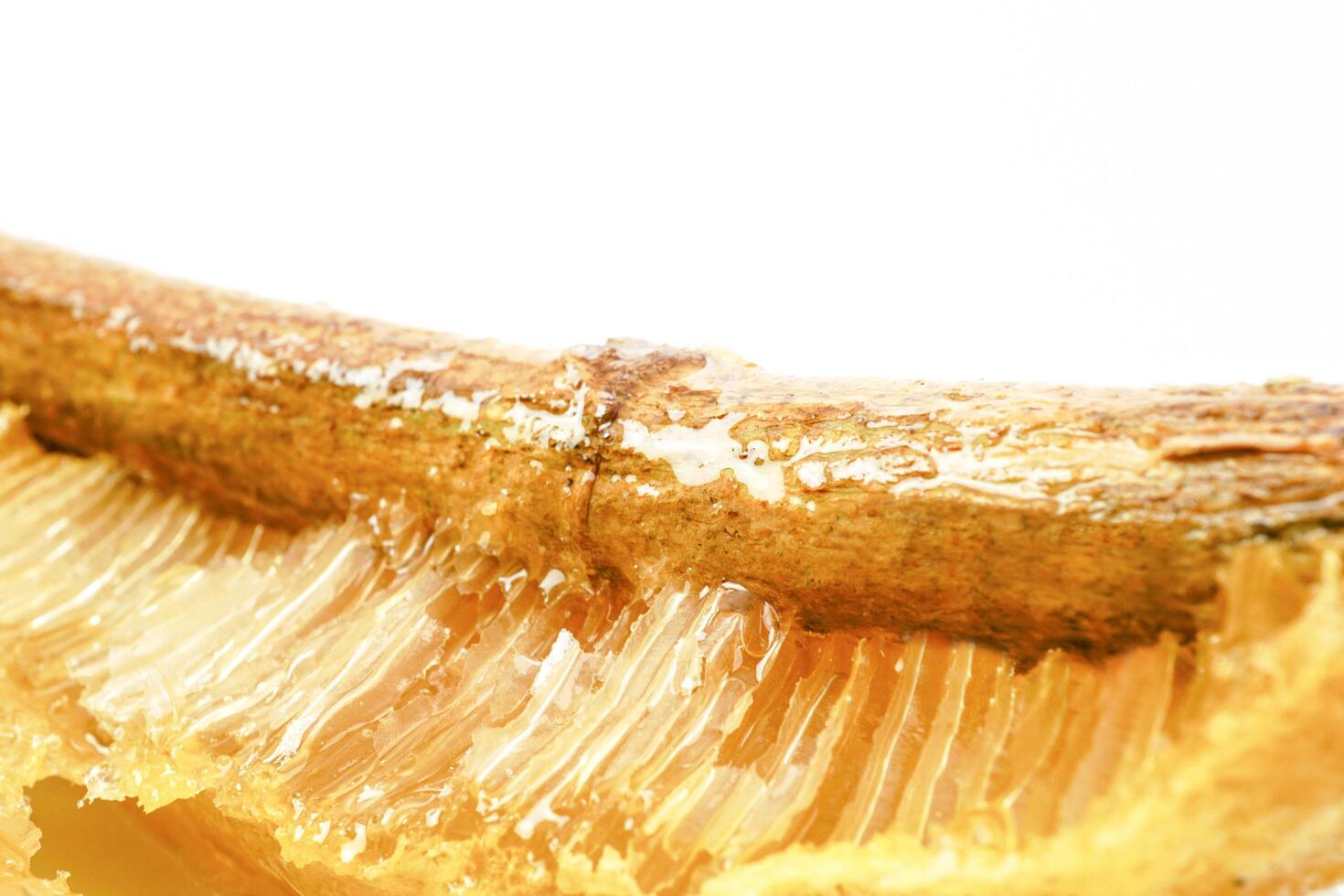 Selective focus, Honeycombs on wood stick with bees in a beehive on white background. Beekeeping, breeding and keeping bees. photo