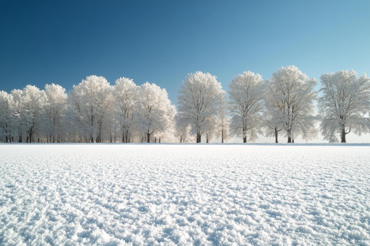 Winter landscape with snow covered trees under a clear blue sky in a serene setting photo