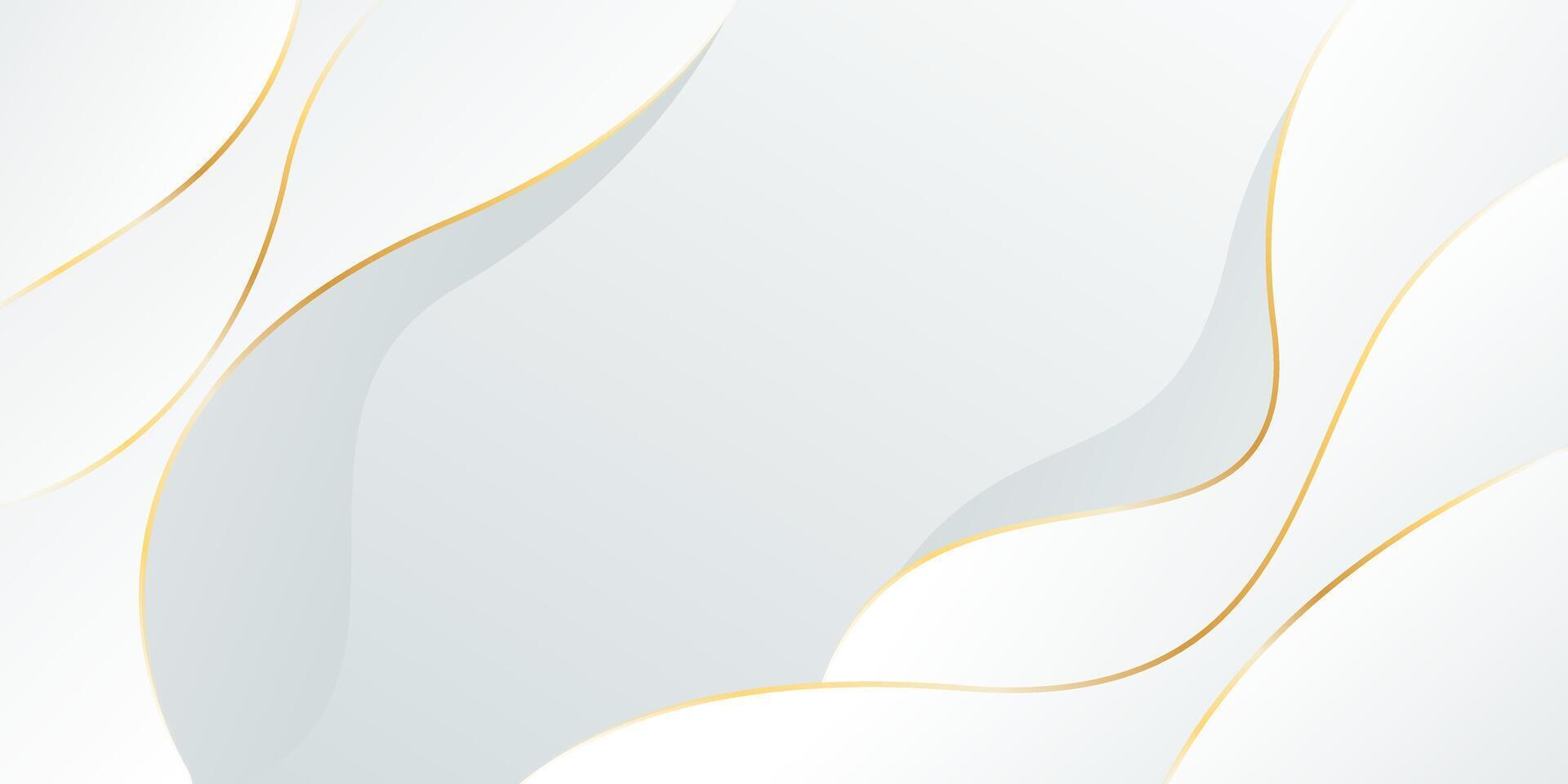 Abstract white-gray luxury background with gold lines. Elegant wave modern wallpapers vector