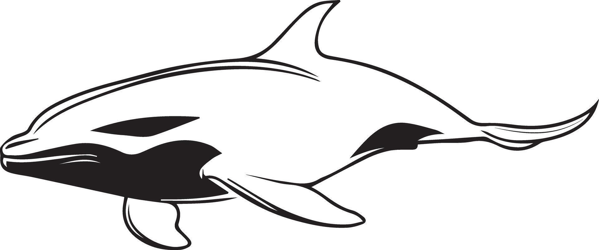 a black and white drawing of a dolphin vector