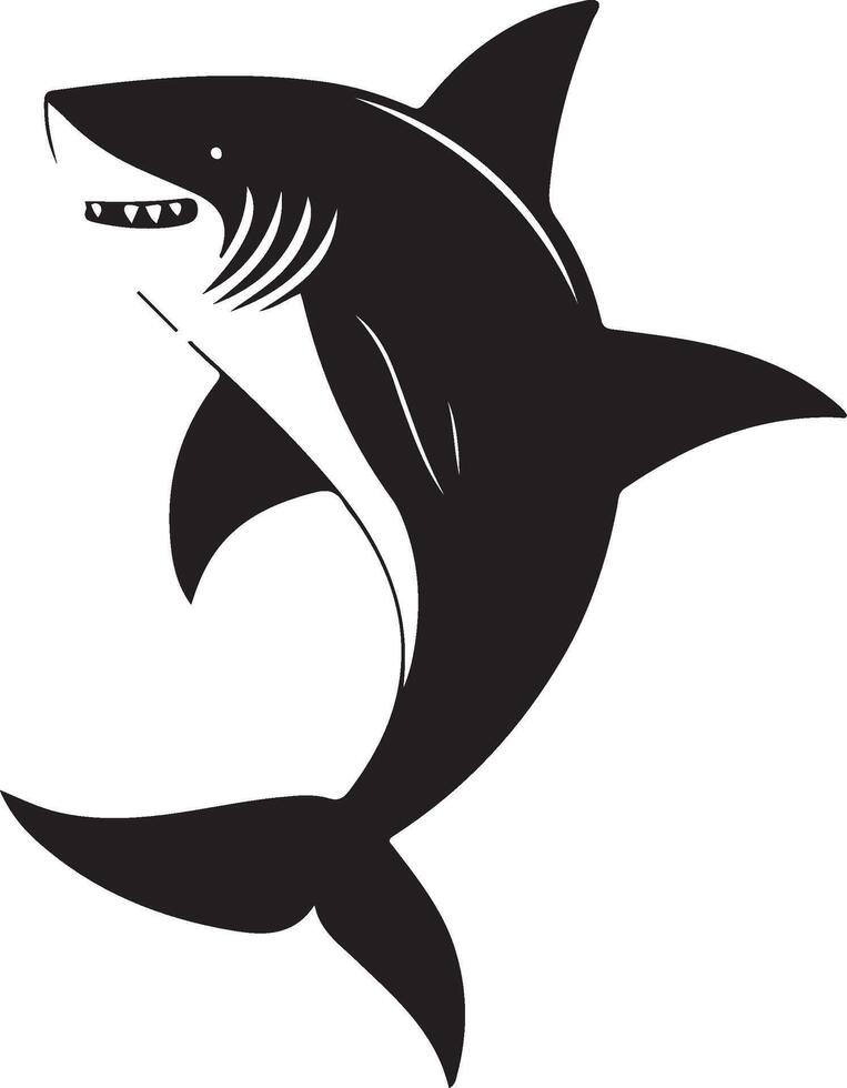 shark illustration on white background vector