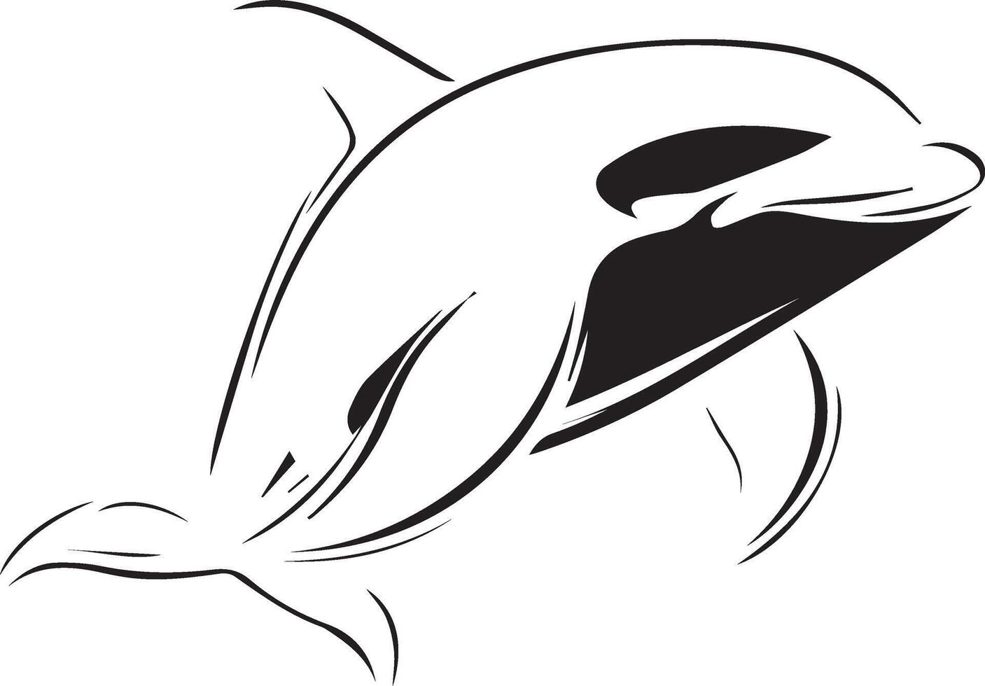 killer whale orca dolphin orca dolphin orca dolphin orca dolphin orca dolphin orca vector