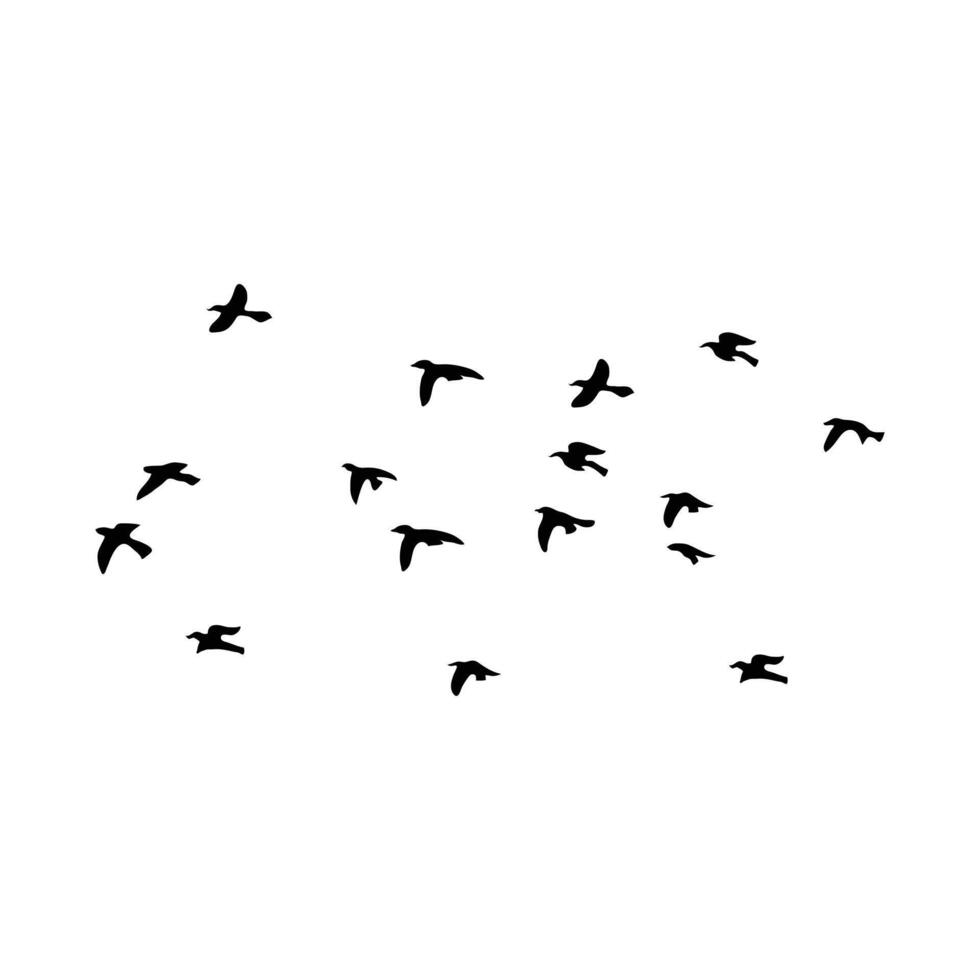 Many Birds Flying in the sky, birds silhouette. vector
