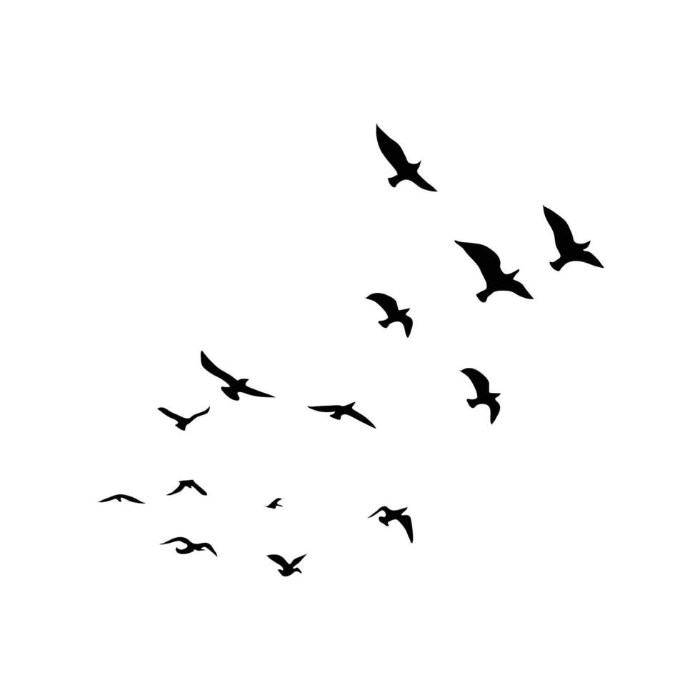 Many Birds Flying in the sky, birds silhouette. vector
