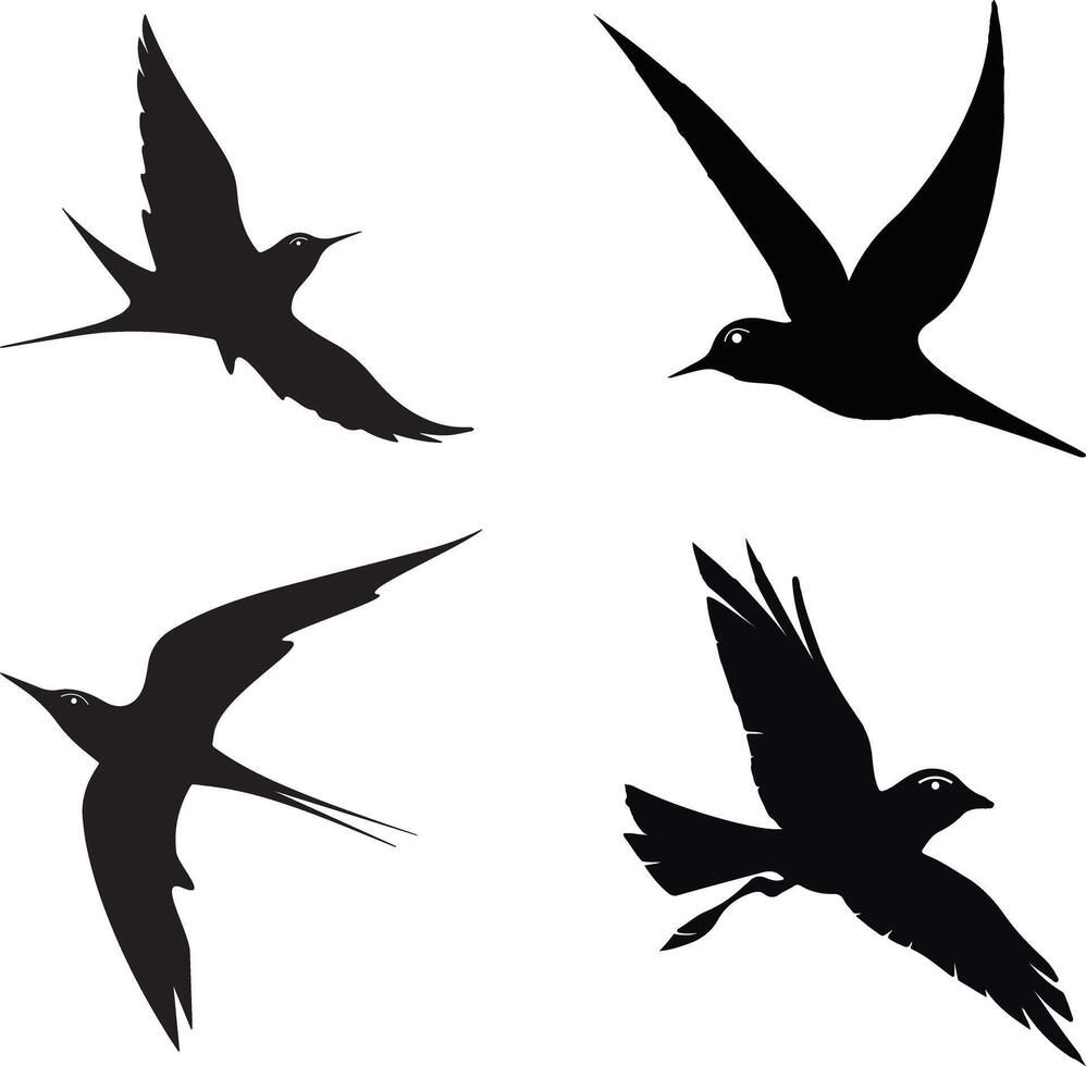 bird icon illustration set design. avocet bird logo bundle template vector