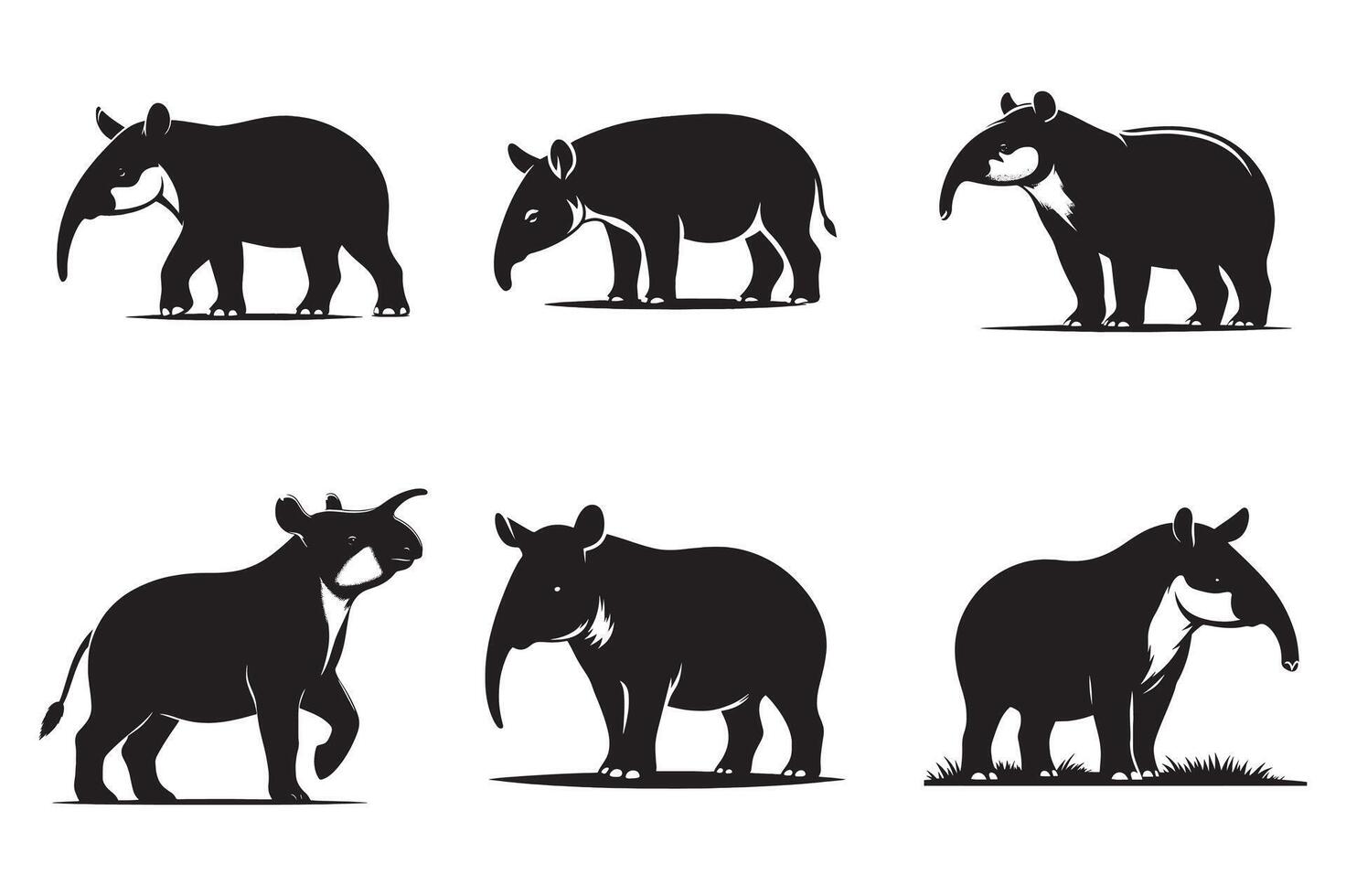 Silhouette Black and white image of a Tapir white background vector