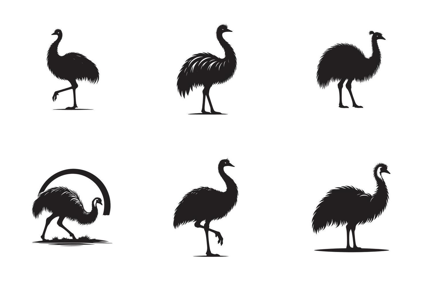 Emu Bird Diet What Do Emus Eat vector