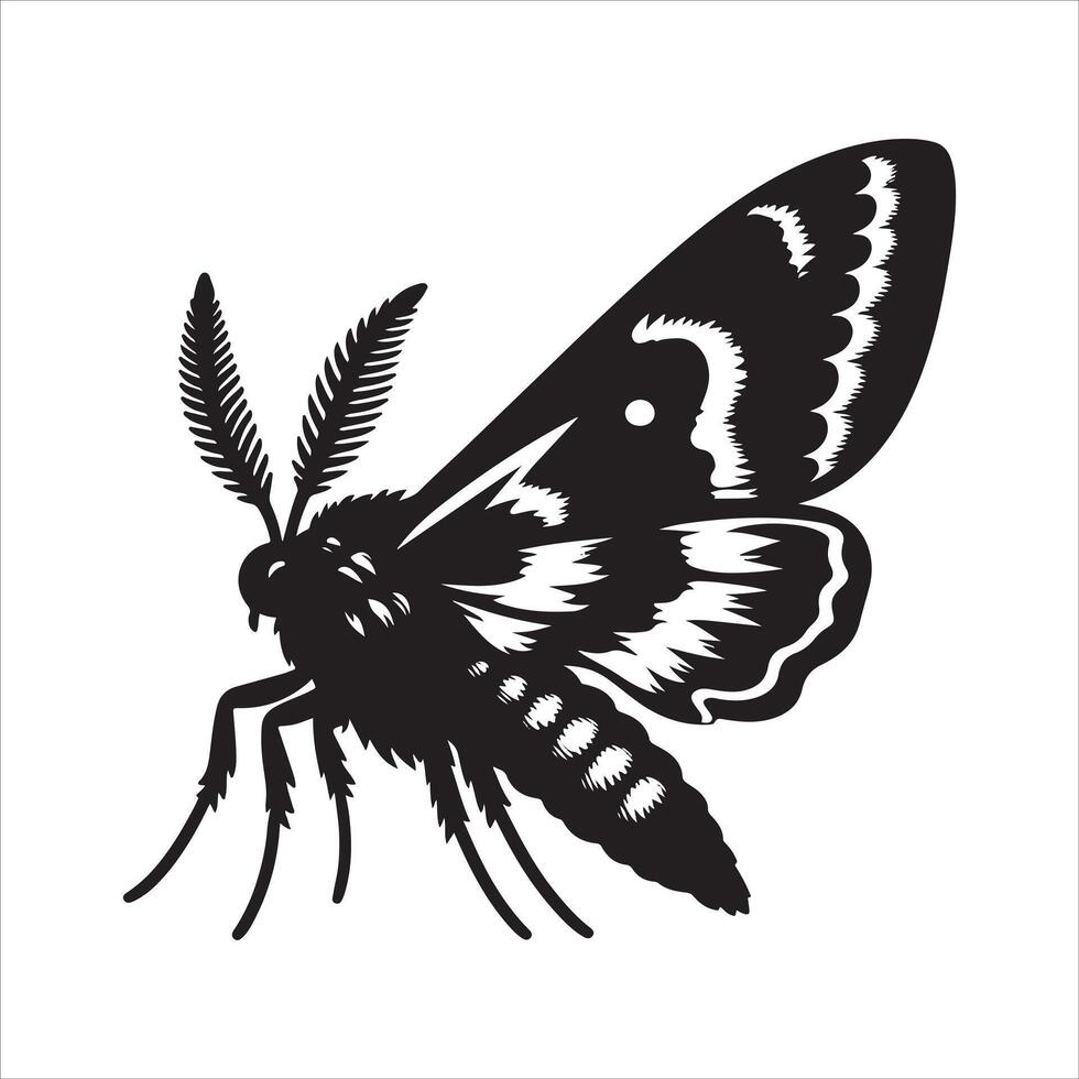 Black and White image of a moth on a white background vector