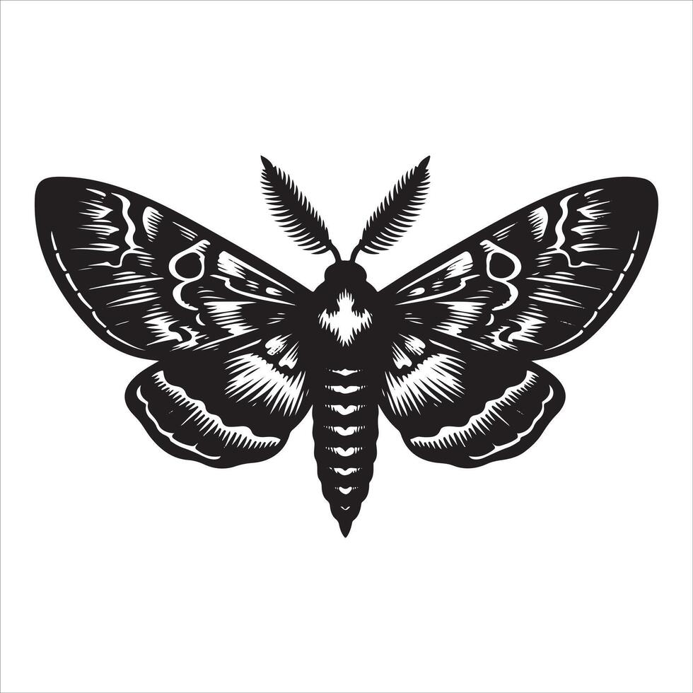Silhouette Best image of a moth on a white background vector