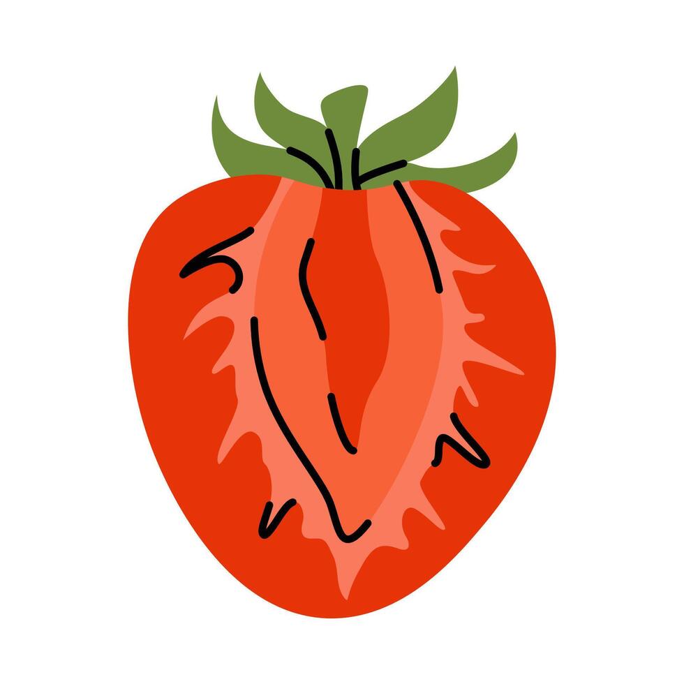 Bright red strawberries, sliced in half, with focus on pulp and green leaves vector