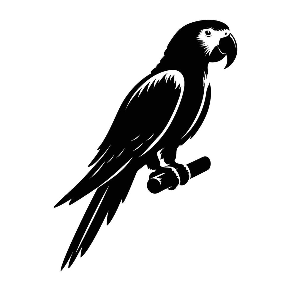 Quail Silhouette on White Background vector