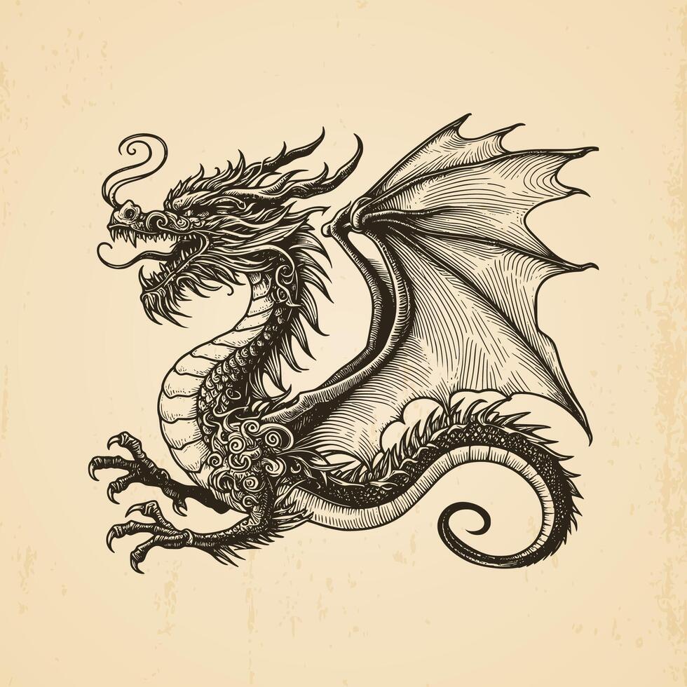 hand drawn dragon vintage illustration isolated background vector