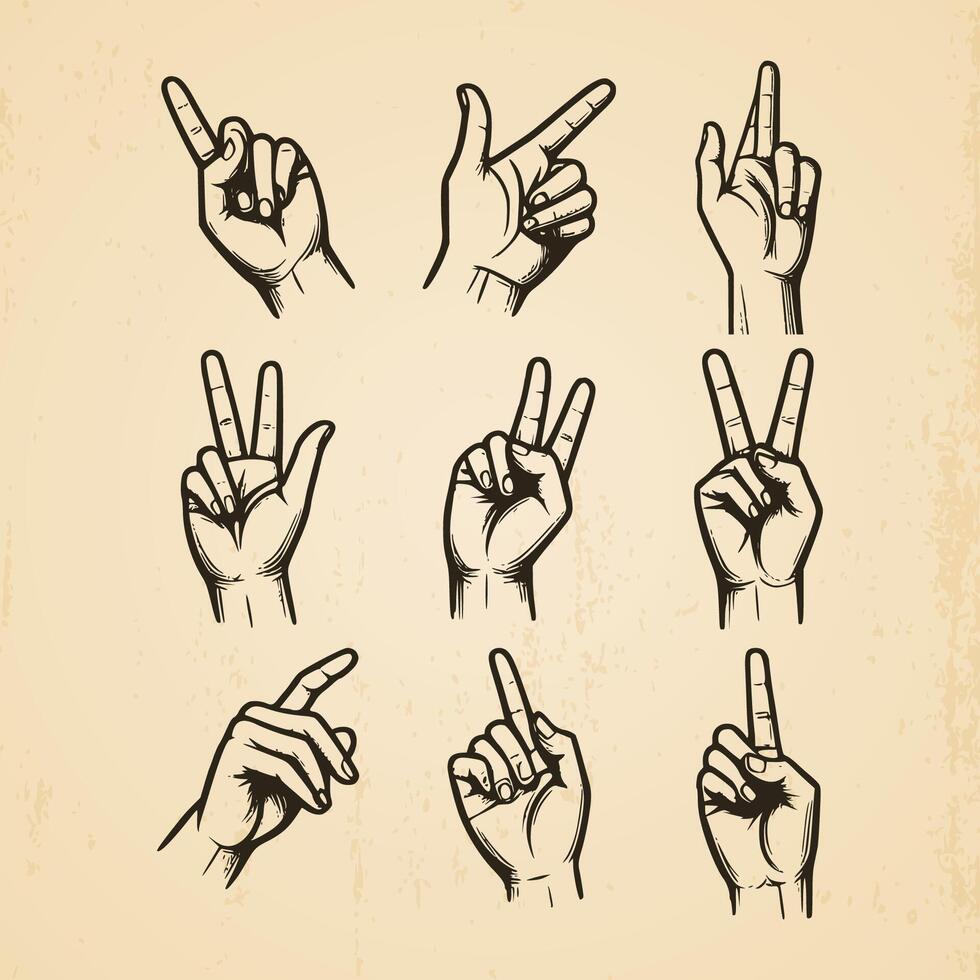 collection of hand drawn hands in different gestures vintage illustration isolated background vector