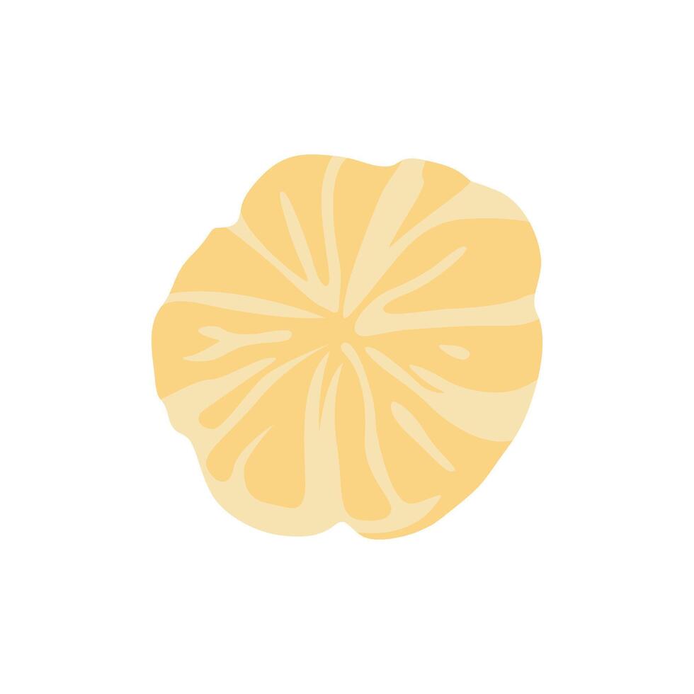 Charming Mandarin Clip Art for Fruit and Food Designs vector